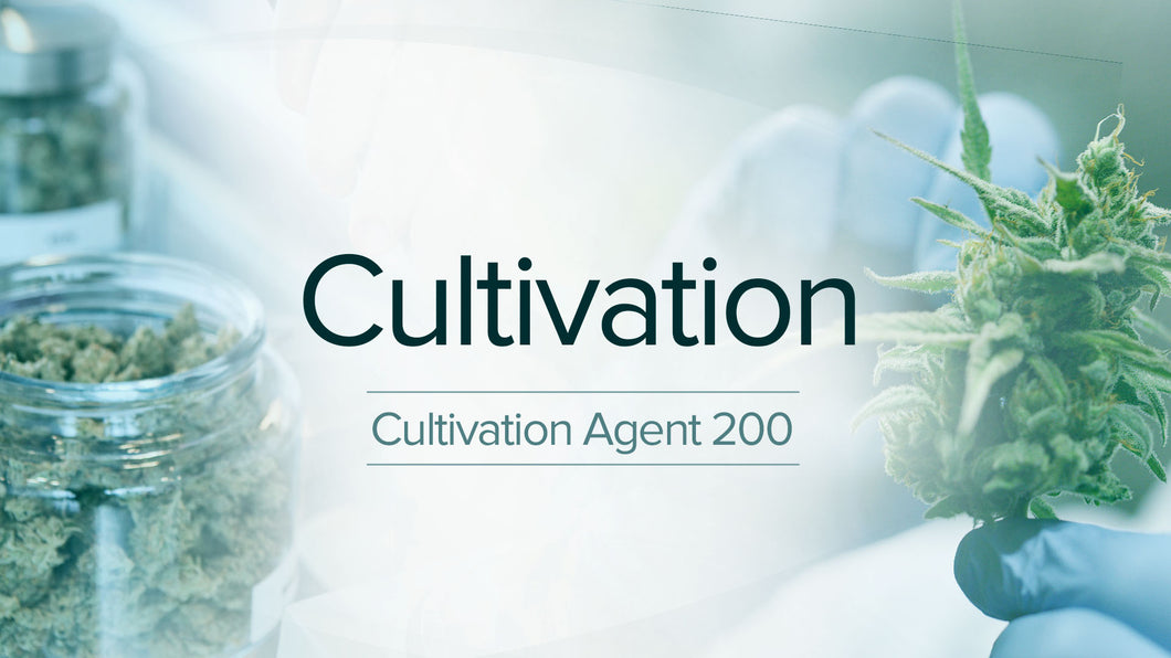 Cultivation Agent Learning Path - 200 Series