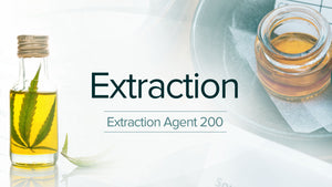 Extraction Agent Learning Pathway – 200 Series