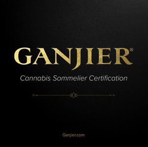 (2023) Ganjier Full Certification Pathway - Scholarship Full