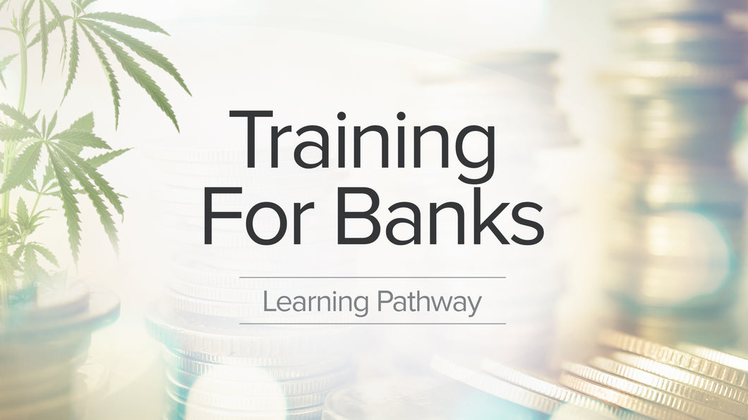 Training for Banks: Learning Pathway