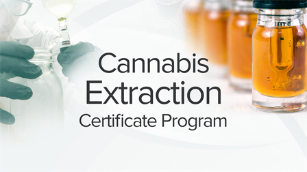 Cannabis Extraction Certificate Program